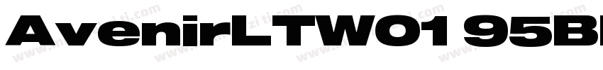 AvenirLTW01 95Black字体转换